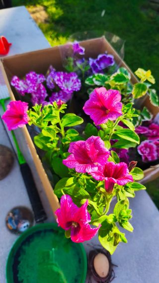 Mrazuvzdorná keramika která vydrží roky stejná www.vehazabavnydomecek.cz